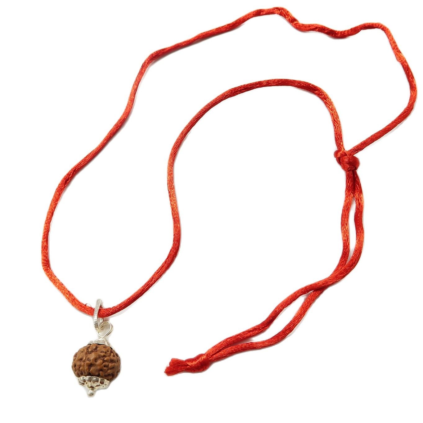 7 Mukhi (7 Face Rudraksha) Lab Certified Original Rudraksha Bead with Red Thread - Image 3