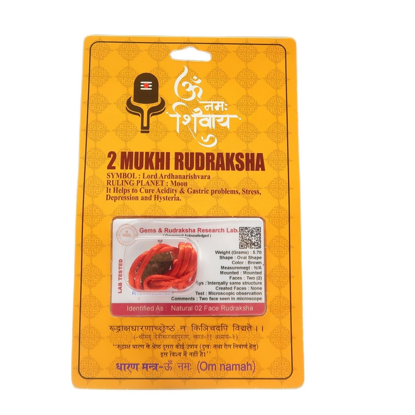 2 Mukhi (2 Face Rudraksha) Lab Certified Original Rudraksha necklace Bead with Red Thread - Image 7