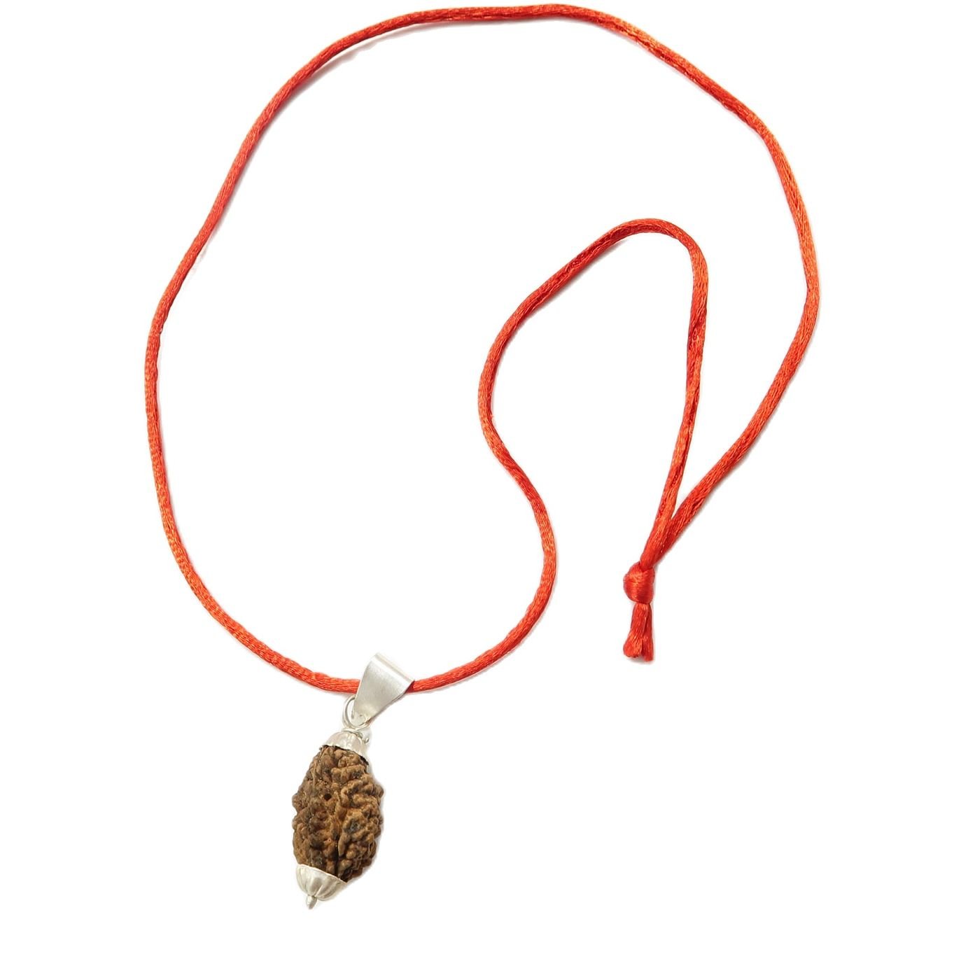 2 Mukhi (2 Face Rudraksha) Lab Certified Original Rudraksha necklace Bead with Red Thread - Image 3