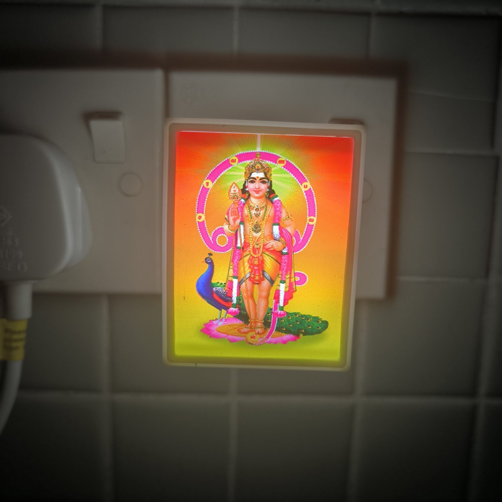 Assorted Indian Gods LED Night Lamp Light with 2 Pin Socket for Spiritual Ambiance