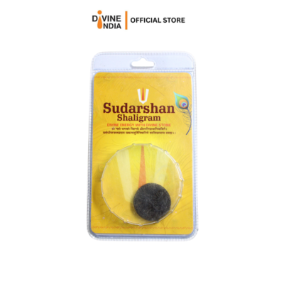 Rare Natural Sudarshan Shaligram Stone from Gandaki River Nepal With Certificate