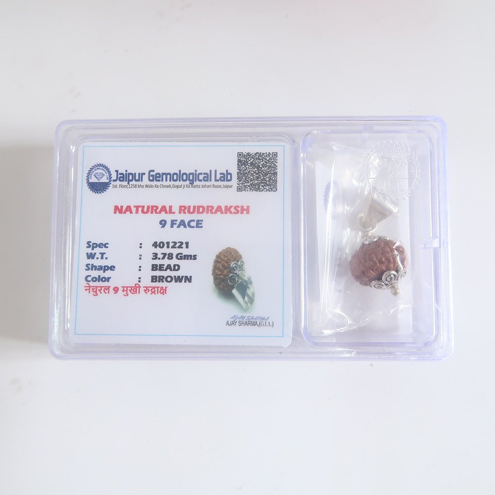 9 Mukhi (9 Face) Lab Certified Original Rudraksha Bead - Image 6