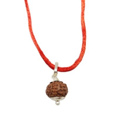 8 Mukhi (8 Face Rudraksha) Lab Certified Original Rudraksha Bead with Red Thread