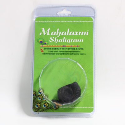 Rare Natural Lakshmi Narayanam Shaligram ji Stone from Gandaki River Nepal With Certificate