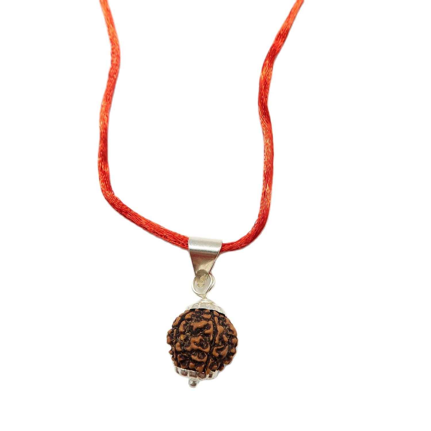 6 Mukhi (6 Face Rudraksha) Lab Certified Original Rudraksha Bead with Red Thread - Image 2