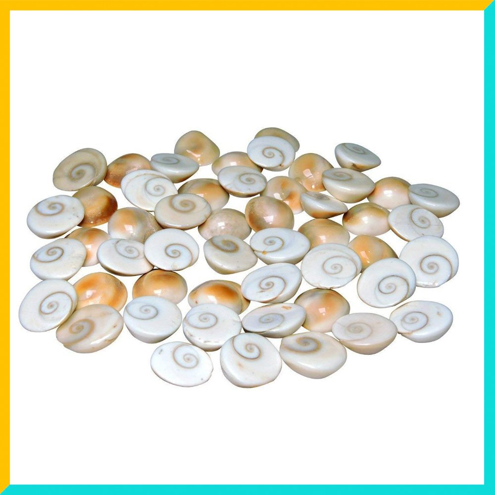 Small Goamathi | Gomti Chakras Shell/Stones | Original Gomathi Chakra