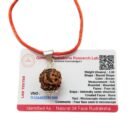 4 Mukhi (4 Face Rudraksha) Lab Certified Original Rudraksha Bead with Red Thread