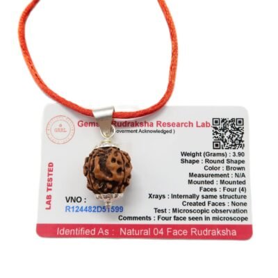 4 Mukhi (4 Face Rudraksha) Lab Certified Original Rudraksha Bead with Red Thread