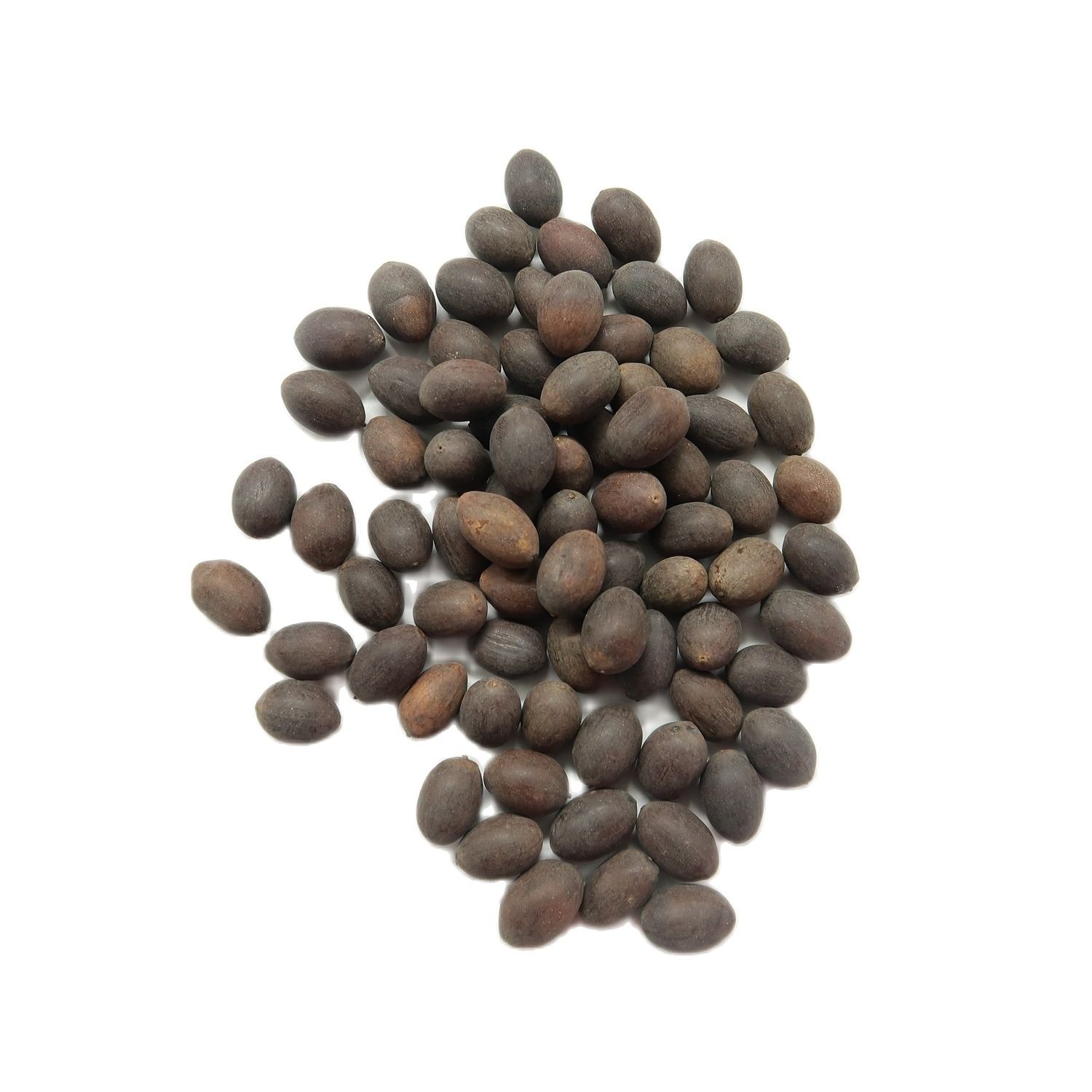 Big Lotus Seed Original Beads