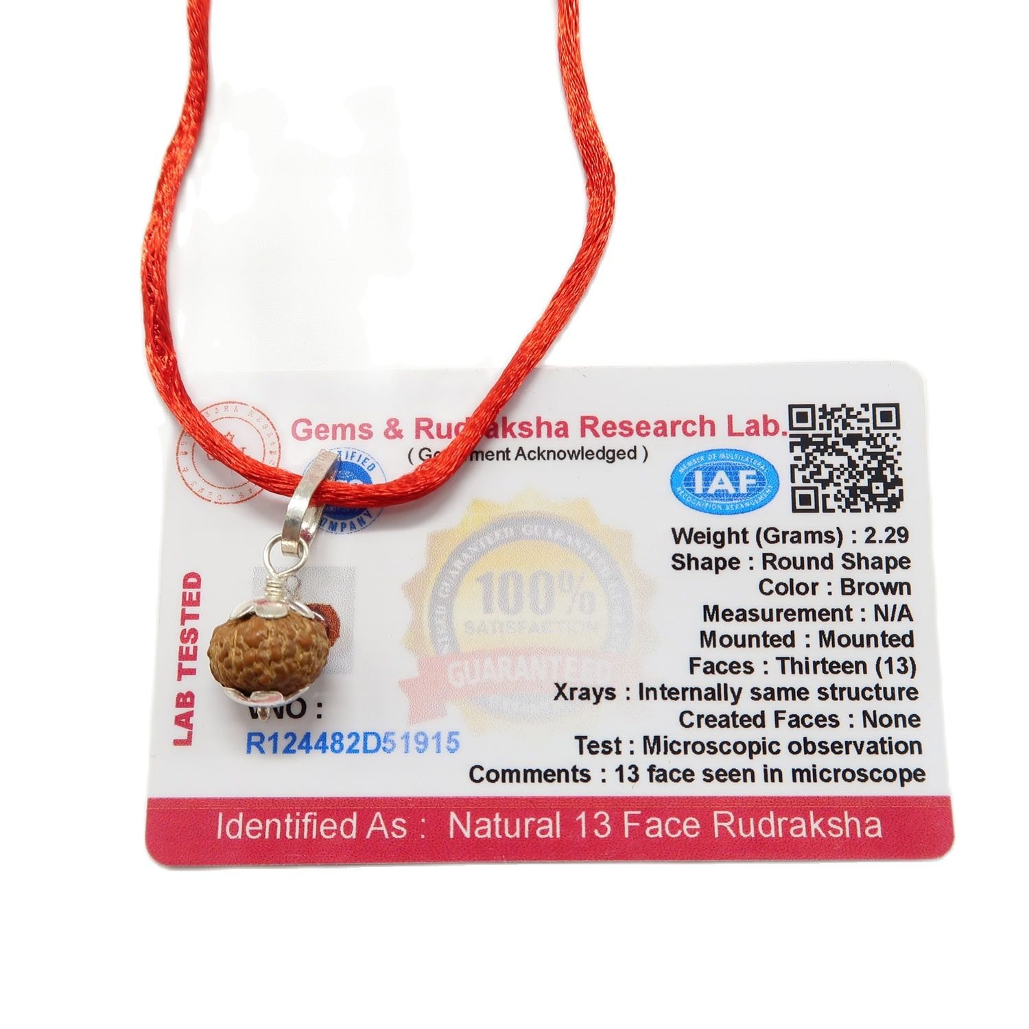 13 Mukhi (13 Face Rudraksha) Lab Certified Original Rudraksha Bead with Red Thread