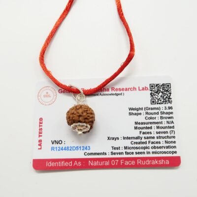 7 Mukhi (7 Face Rudraksha) Lab Certified Original Rudraksha Bead with Red Thread