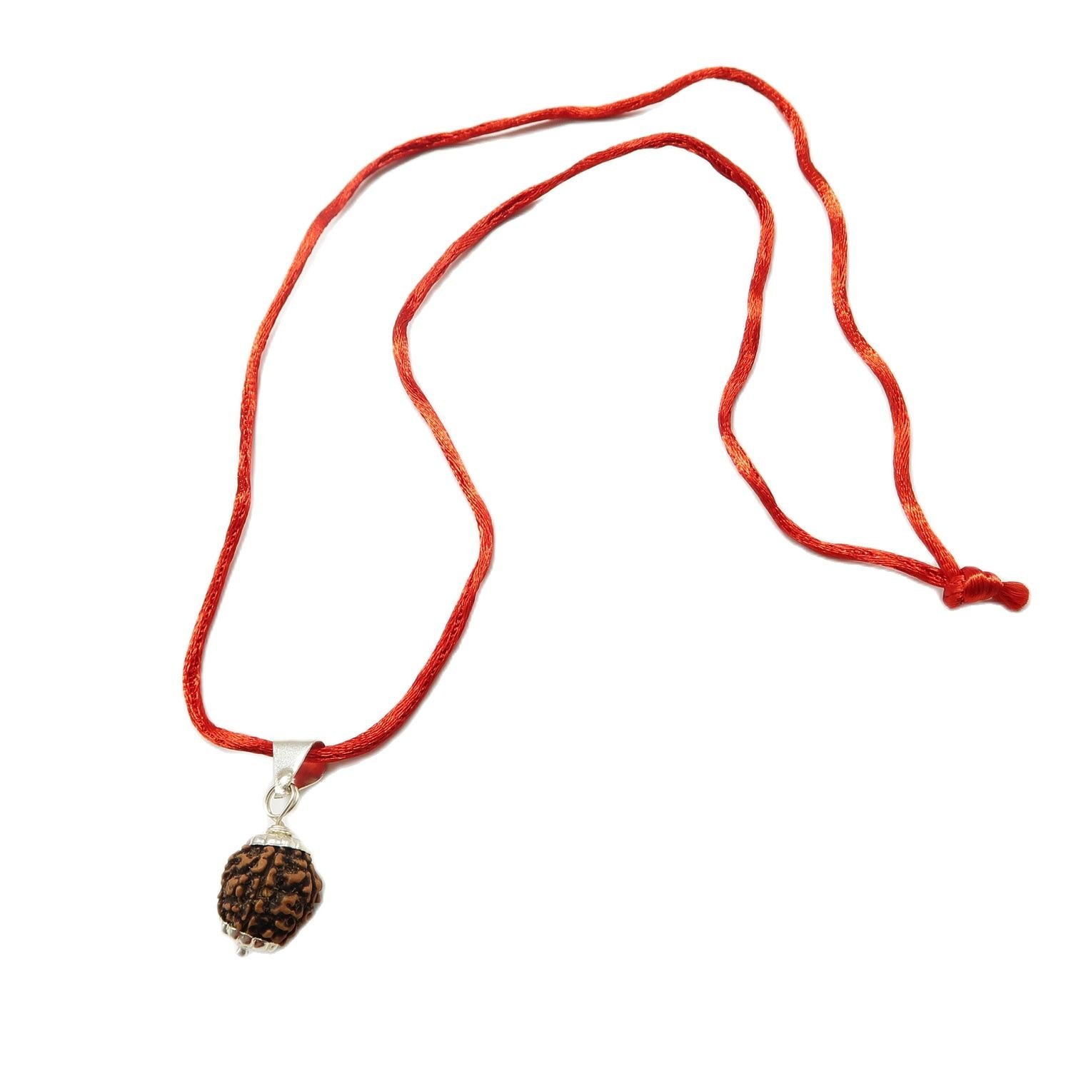 6 Mukhi (6 Face Rudraksha) Lab Certified Original Rudraksha Bead with Red Thread - Image 3
