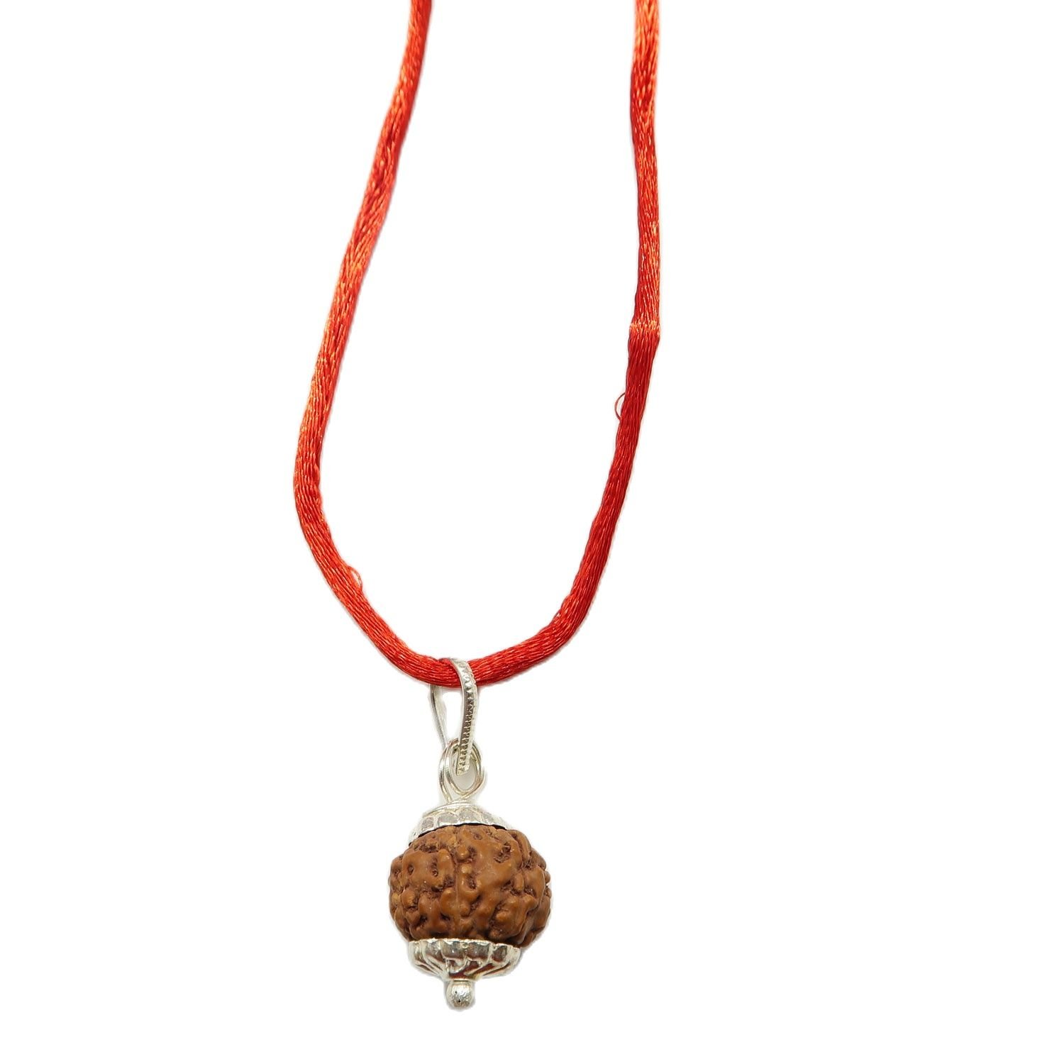 7 Mukhi (7 Face Rudraksha) Lab Certified Original Rudraksha Bead with Red Thread - Image 2