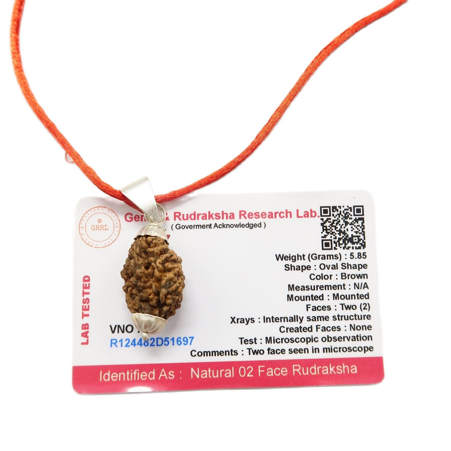 2 Mukhi (2 Face Rudraksha) Lab Certified Original Rudraksha necklace Bead with Red Thread