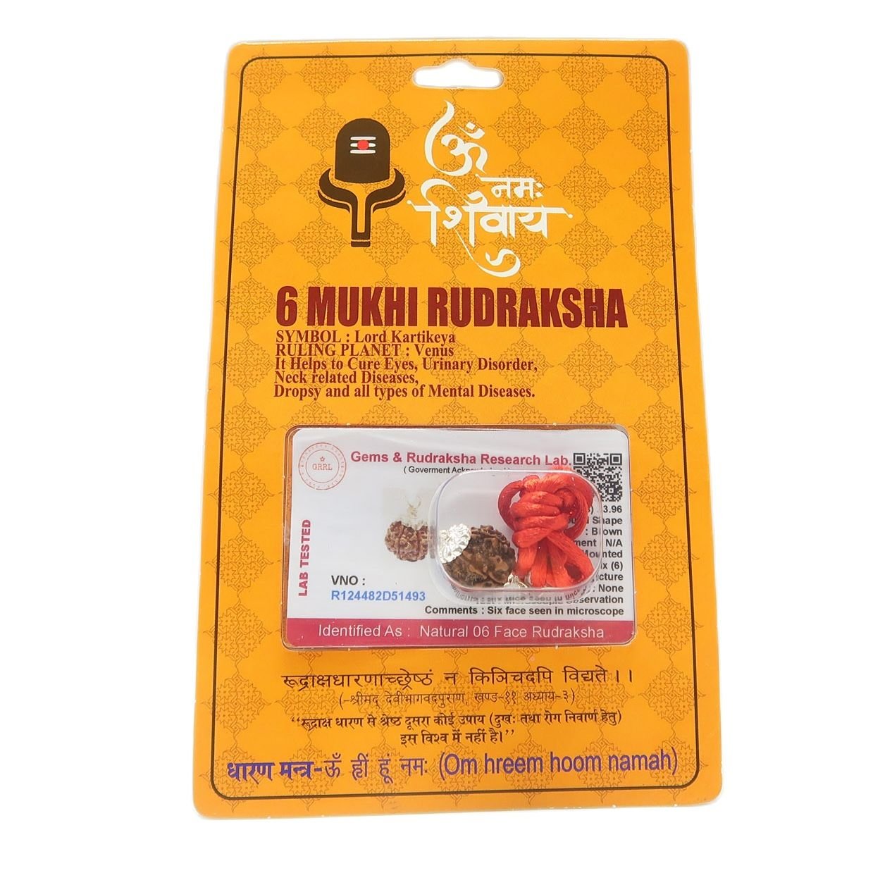 6 Mukhi (6 Face Rudraksha) Lab Certified Original Rudraksha Bead with Red Thread - Image 6