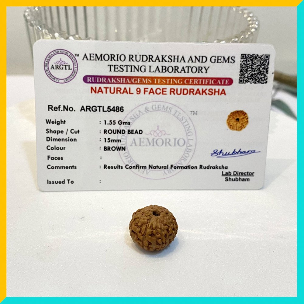 9 Mukhi (9 Face) Lab Certified Original Rudraksha Bead - Image 5